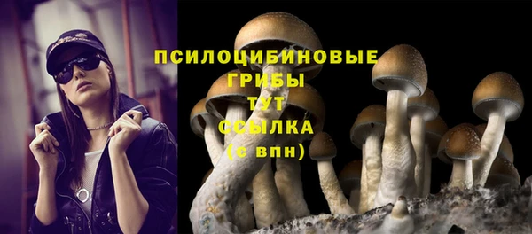 а пвп мука Абаза