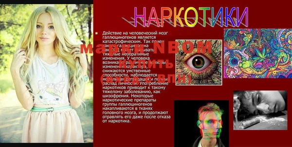 а пвп мука Абаза