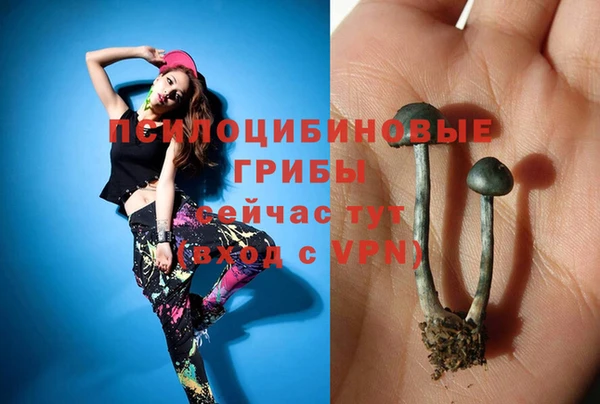 шишки Остров